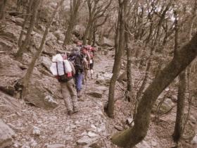 photo coins arrondis