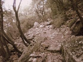 photo coins arrondis