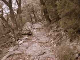 photo coins arrondis