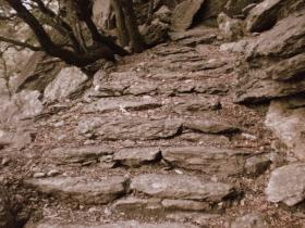 photo coins arrondis