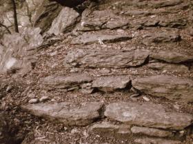 photo coins arrondis