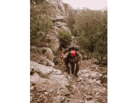 photo coins arrondis