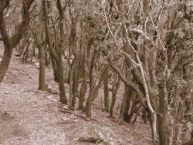 photo coins arrondis