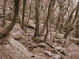 photo coins arrondis