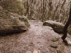 photo coins arrondis