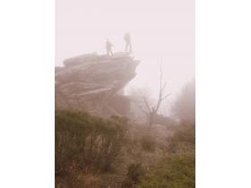 photo coins arrondis