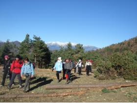 photo coins arrondis