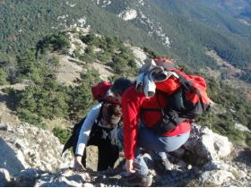 photo coins arrondis