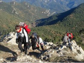 photo coins arrondis