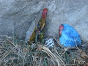 Puig de Bassegoda Puig de Bassegoda