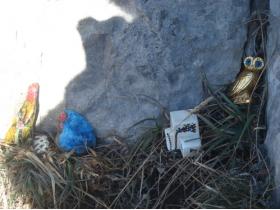 photo coins arrondis