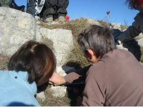 photo coins arrondis