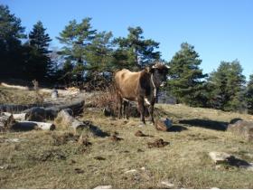 photo coins arrondis