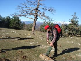 photo coins arrondis