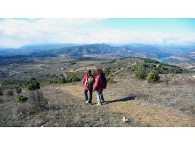 photo coins arrondis