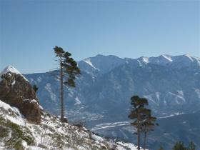 photo coins arrondis