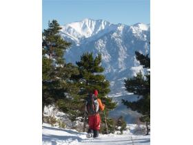 photo coins arrondis