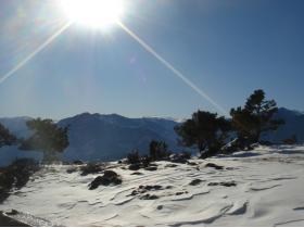 photo coins arrondis