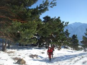 photo coins arrondis