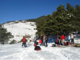 photo coins arrondis