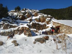 photo coins arrondis