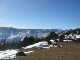 photo coins arrondis