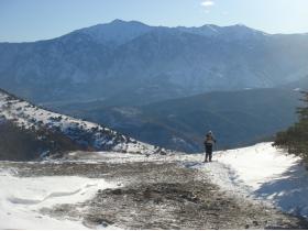 photo coins arrondis