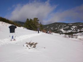 photo coins arrondis