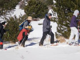 photo coins arrondis