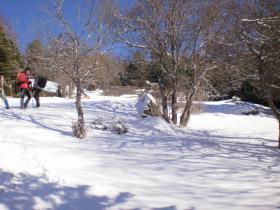 photo coins arrondis