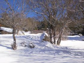 photo coins arrondis