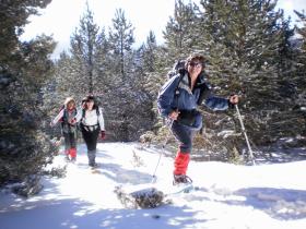 photo coins arrondis