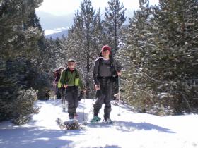 photo coins arrondis