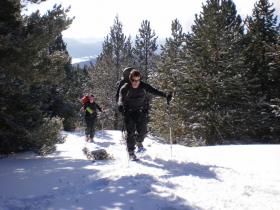 photo coins arrondis