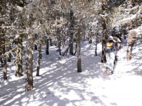 photo coins arrondis