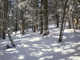 photo coins arrondis