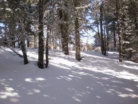 photo coins arrondis