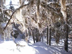 photo coins arrondis