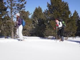 photo coins arrondis