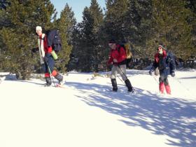 photo coins arrondis