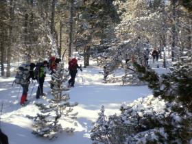 photo coins arrondis