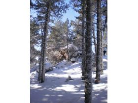 photo coins arrondis