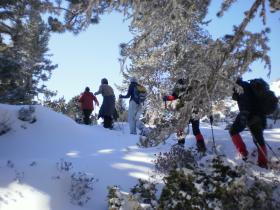 photo coins arrondis