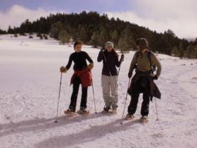 photo coins arrondis