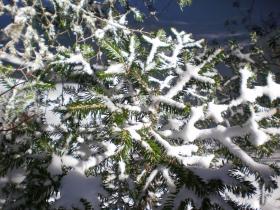 photo coins arrondis