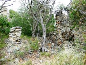 photo coins arrondis