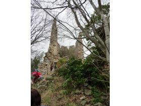 photo coins arrondis