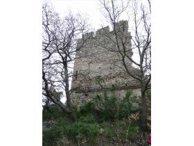 photo coins arrondis