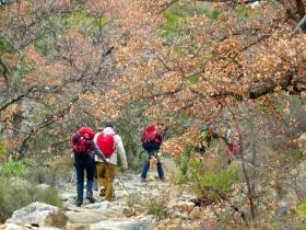 photo coins arrondis