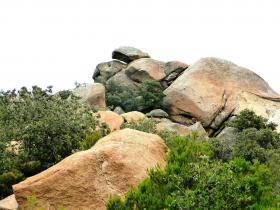 photo coins arrondis